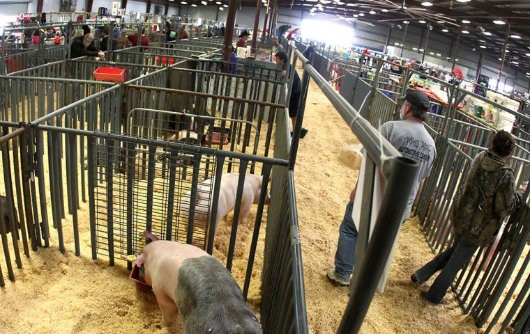 Bell County Youth Fair